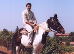 Mahabaleshwar Horseriding Pratik.jpg