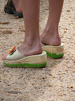 IMG_1331.JPG