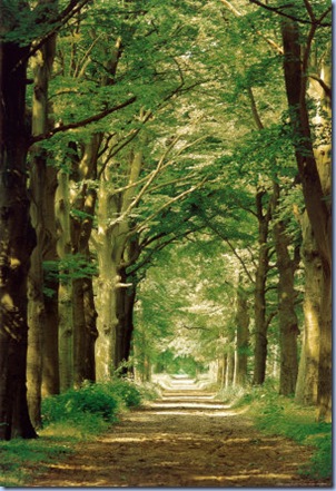 artpath