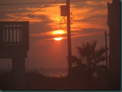 IMG_0454 IMG_0454