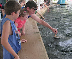 IMG_8710.JPG