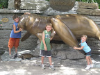 IMG_8732.JPG