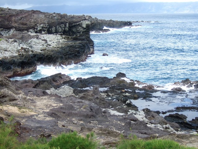 [DSCF0860[9].jpg]