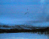 Synne, æ og Lodve inn for landing :-)