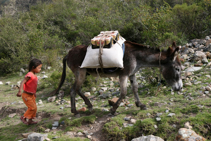 Ветер в кактусах: отчет о поездке Перу - Боливия