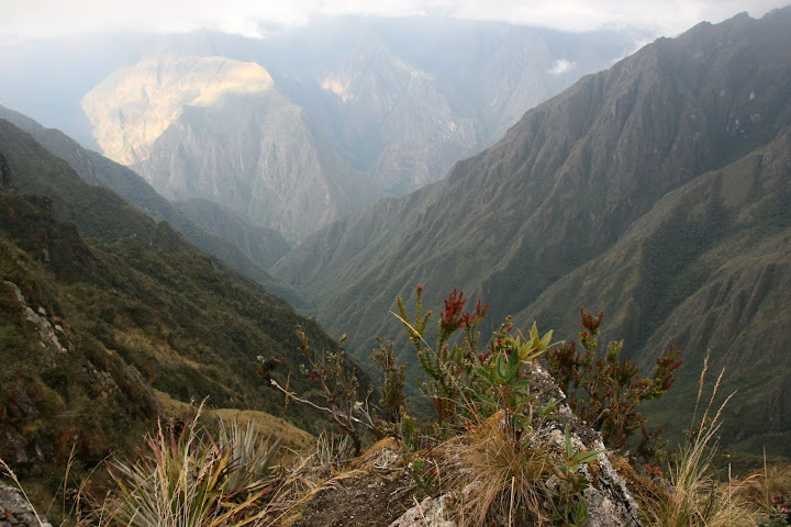 Ветер в кактусах: отчет о поездке Перу - Боливия