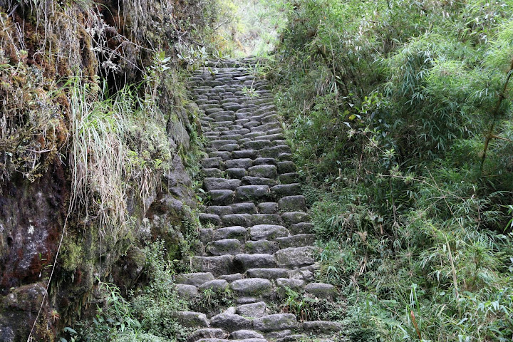 Ветер в кактусах: отчет о поездке Перу - Боливия