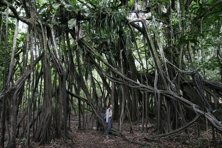 Ветер в кактусах: отчет о поездке Перу - Боливия