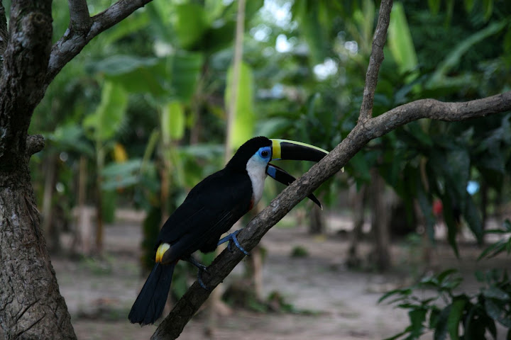Ветер в кактусах: отчет о поездке Перу - Боливия