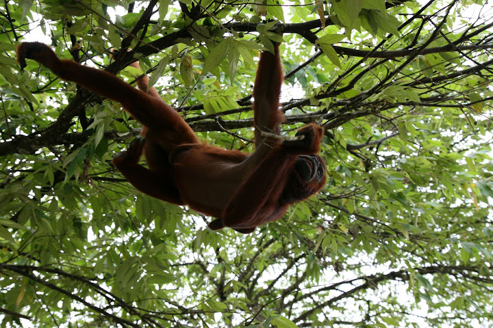 Ветер в кактусах: отчет о поездке Перу - Боливия