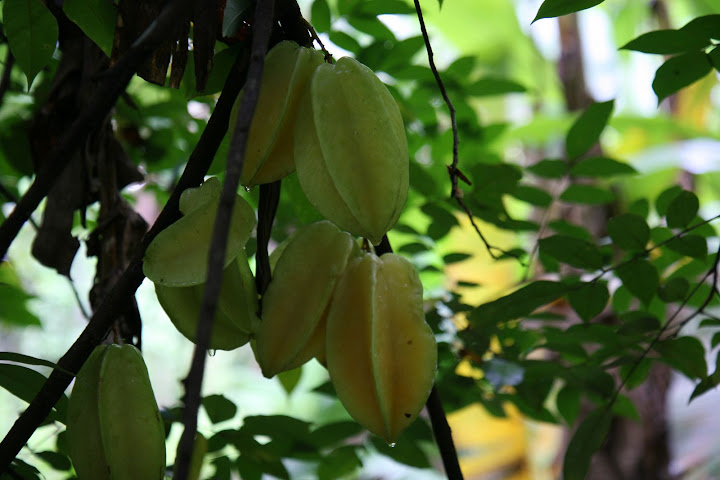 Ветер в кактусах: отчет о поездке Перу - Боливия