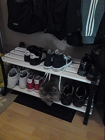 [DSC00864[1][8].jpg]