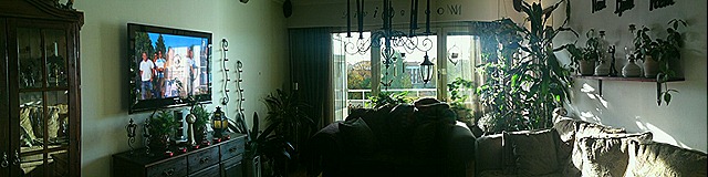 [DSC00974[1][1].jpg]