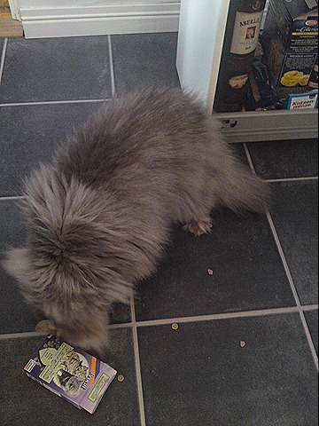 [DSC00949[1][5].jpg]