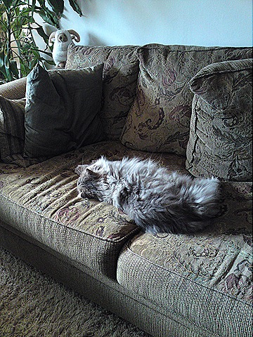 [DSC00943[1][5].jpg]