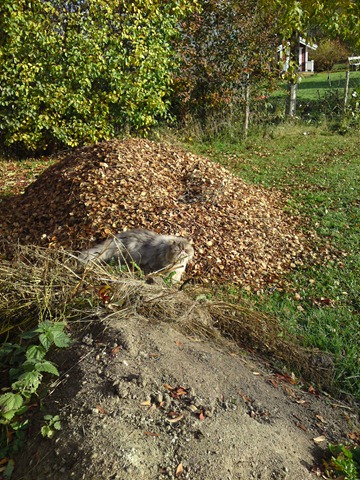 [DSC01021[1][12].jpg]