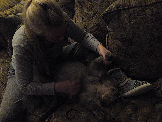 [DSC01075[1][8].jpg]