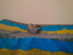 04112009149.jpg