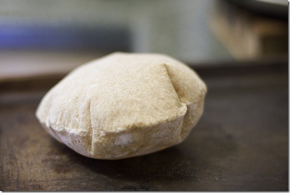 pita-18 pita-18