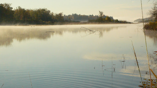 Crooked Brook