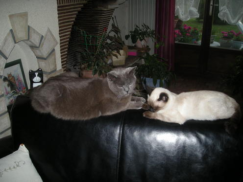 http://lh5.ggpht.com/_Af2NJS5Y8NA/S1I7EgfYy6I/AAAAAAAABvE/PNLW6qryHgw/DSCN1913.jpg