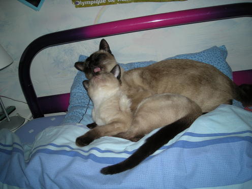 http://lh5.ggpht.com/_Af2NJS5Y8NA/S1I81BI-RnI/AAAAAAAAB5I/FkmDZdmoURQ/DSCN2463.jpg