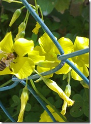 20090306810_1 (2)