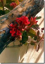 20090306820_edited (2)