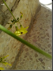 20090306830