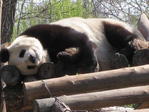 zzzzzzzzzzzzzzzzzzzzzz