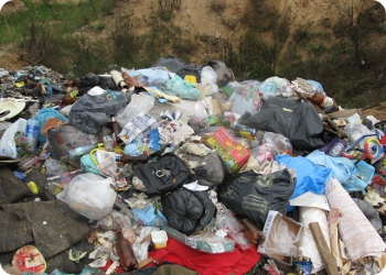 фото Несанкционированная свалка мусора