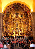 tolosa2.jpg