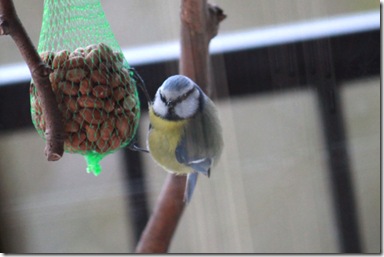 IMG_9584 IMG_9584