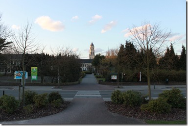 IMG_9656 IMG_9656
