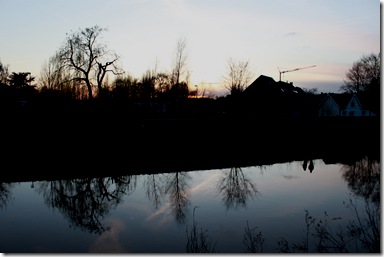 IMG_9690 IMG_9690