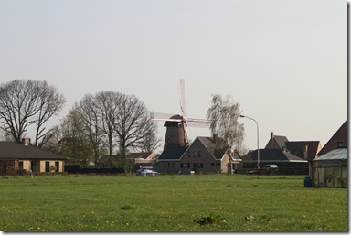 IMG_2108 IMG_2108