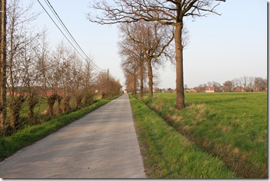IMG_2118 IMG_2118