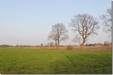 IMG_2128 IMG_2128