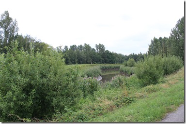 IMG_6632 IMG_6632