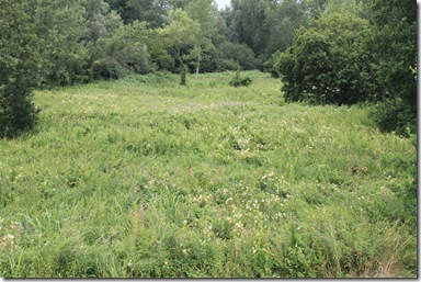 IMG_6637 IMG_6637