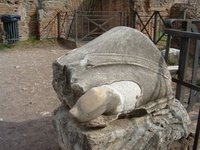 [roman-toe.jpg]