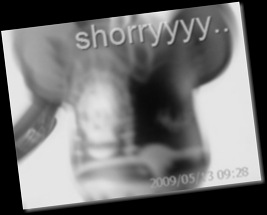 200905130928_107