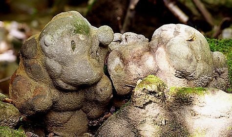 [pedra1[2].jpg]
