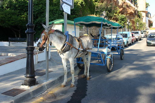 Mijas - Burro Taxi
