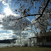 DSCF2305.JPG