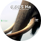 6.865 Ha