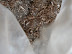 Hemp bits ready for mixing for hempcrete.
MVG©