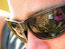 hidden behind the glasses are some wet eyes....
(don't turn around)