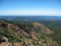 IMG_8725.jpg