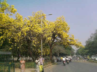 Bangalore Quuens road